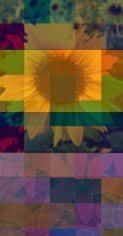 f&uuml;r Alex: Photoshop ohne Filter, wirklich